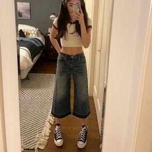 American Eagle Cropped Flare Jeans